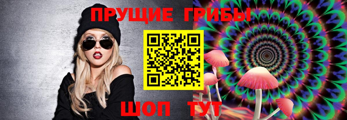 Псилоцибиновые грибы мицелий Екатеринбург