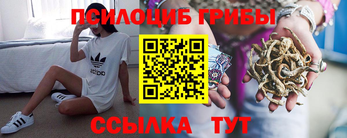 Екатеринбург  Псилоцибиновые грибы Psilocybine cubensis  Галлюциногенные грибы прущие грибы  Вход с VPN 